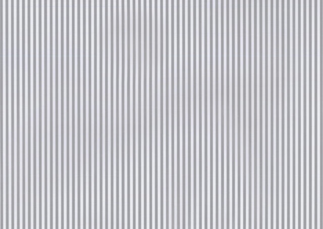 0081 Hans, Silver